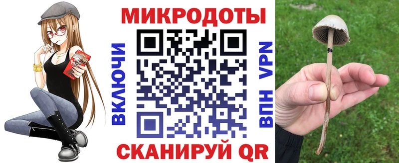 блэк спрут как зайти наркошоп Валдай Галлюциногенные грибы мухоморы
